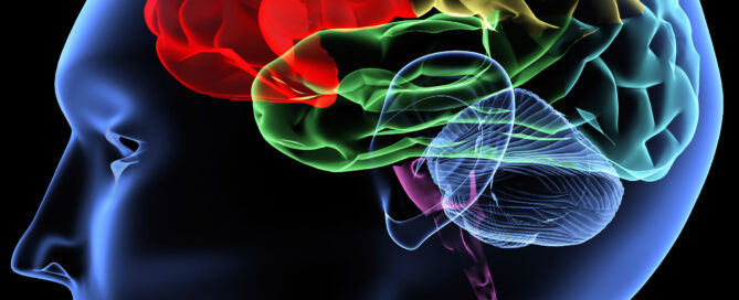 Your memory is like a garden — the more you care for it, the more it flourishes. With the right lifestyle choices, diet, and mental exercises, you can sharpen your memory and enjoy a more focused, confident, and productive life.