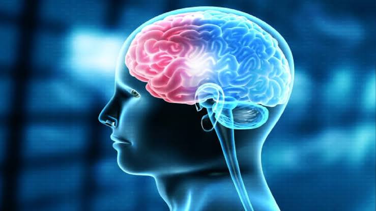 Mental Health and Quality of Life: Building a Healthier, Happier You